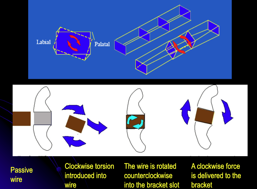 <p>3rd order bends</p>