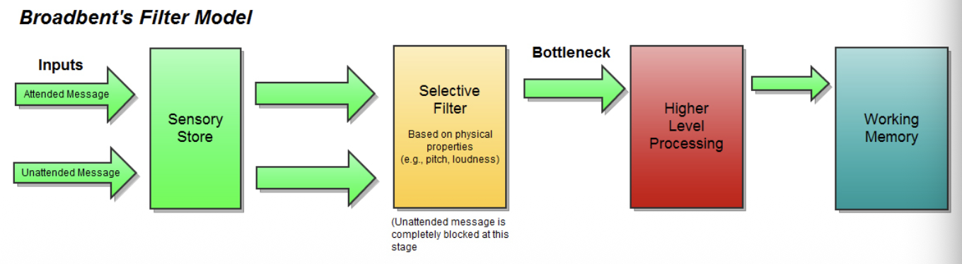 <ol><li><p>broadbent filter is a central and limited capacity structure that allows certain stimuli to pass through for further processing while unattended stimuli is filtered out </p></li><li><p>this filter focuses on one sensory system/item at a time </p></li><li><p>this filter works using serial procesing and is needed to deal with the overwhelming amount of info entering the channels </p></li><li><p>filter selects info based on a physical analysis of the sensory info e.g. high voice over lower voice </p></li></ol><p></p>