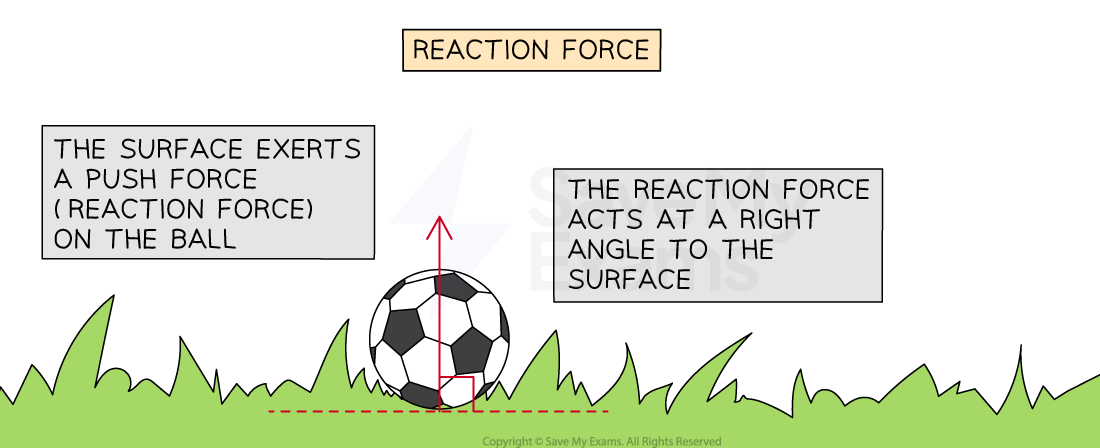 <ul><li><p>when an object rests on a surface, surface exerts a push on the object</p></li><li><p>acts perpendicular to surface</p></li><li><p>ex: football rests on the grass’ horizontal surface → grass exerts a reaction force vertically upwards on the ball</p></li></ul><p></p>
