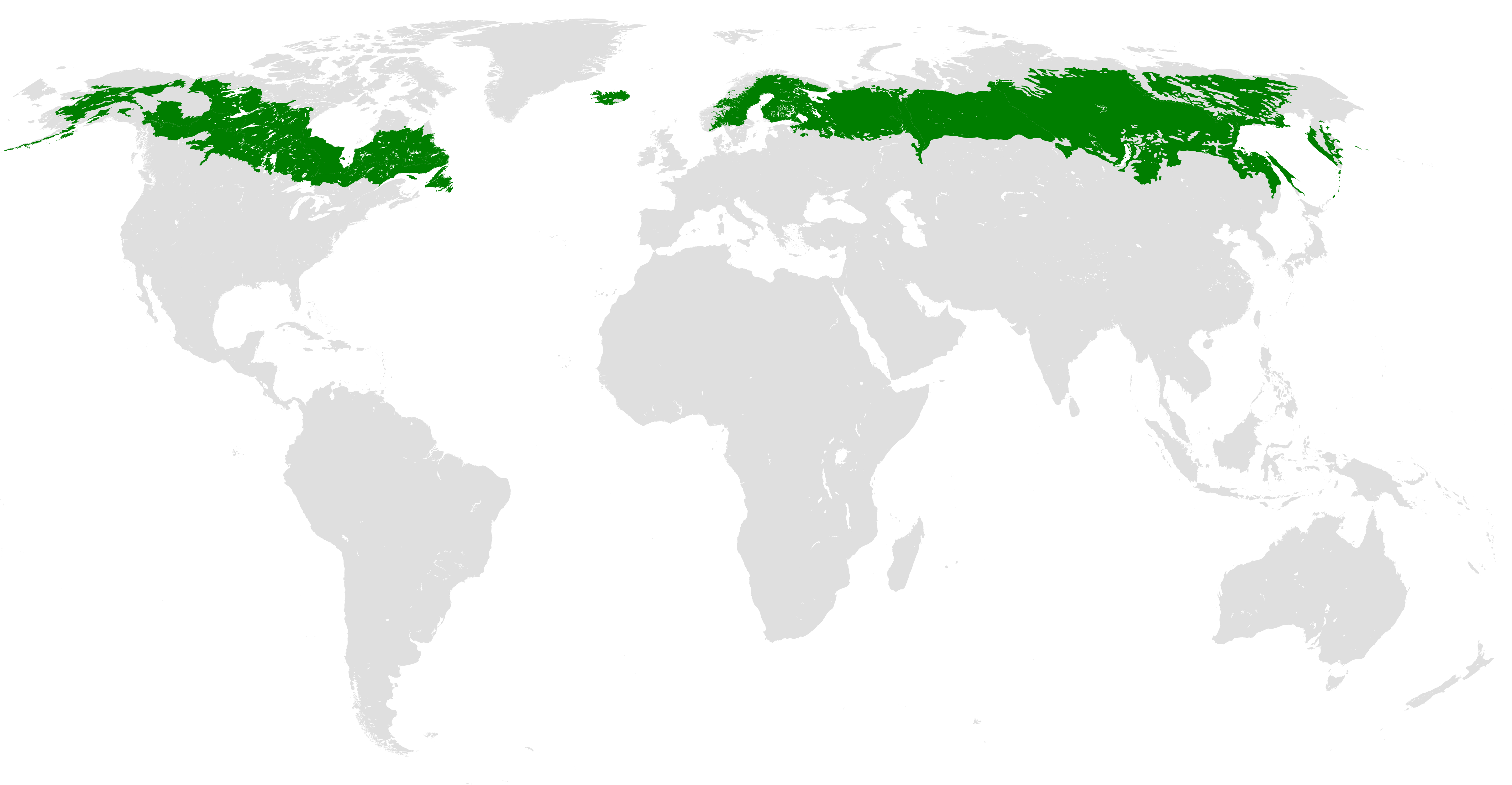 <p>across Canada &amp; Russia</p>