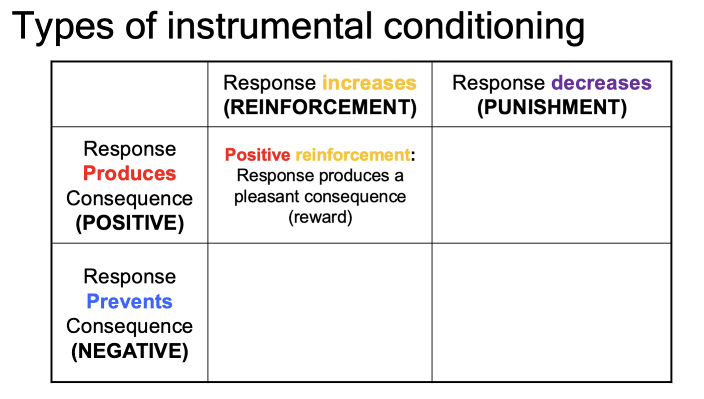 <p>Response produces a pleasant consequence (reward) and behaviour will increase.</p>