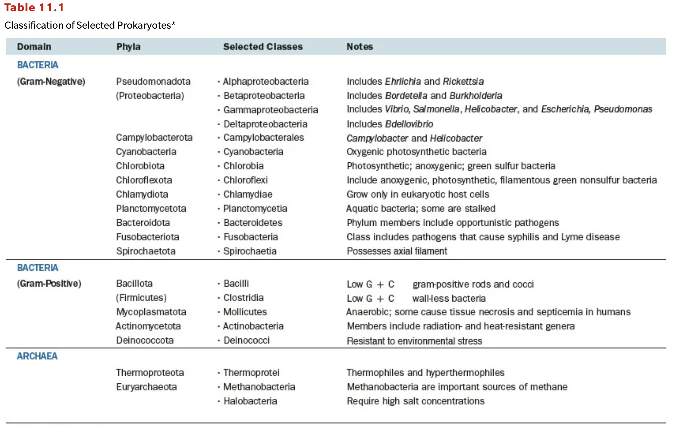 <p>From this table, how can you identify the phylum?</p>