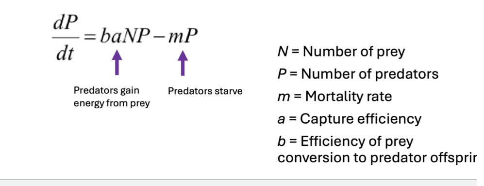 <p>For predator population… </p>