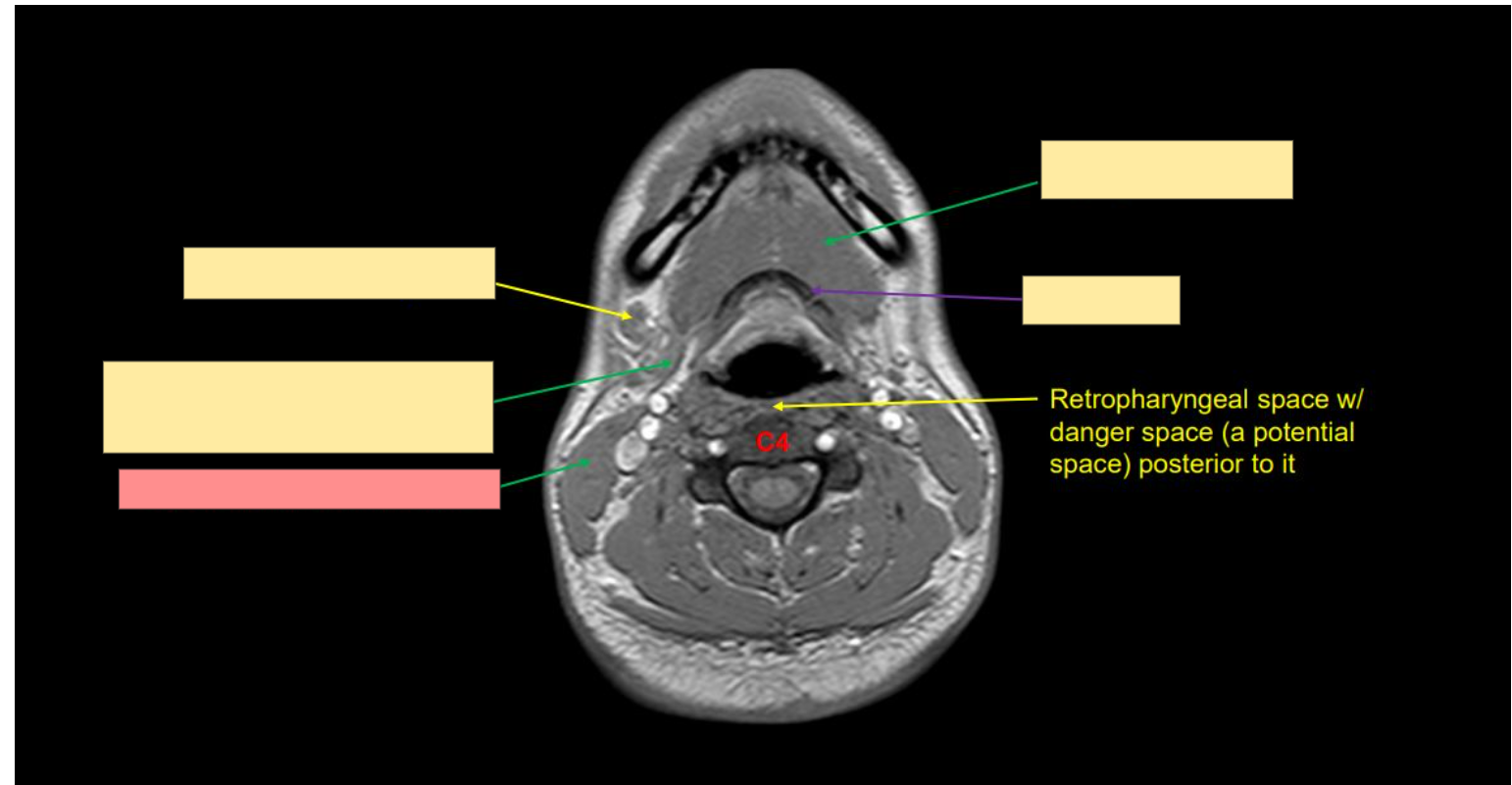 <p>Name the structure</p>