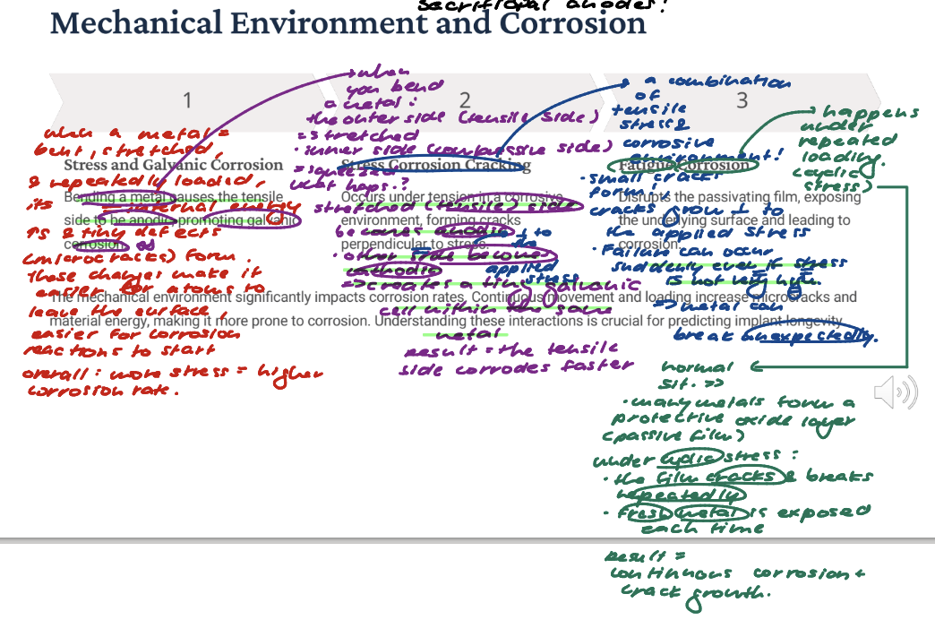<p>Stress and Galvanic Corrosion: BENDING <strong>a metal causes the tensile side to be ANODIC</strong> (more reactive; more prone to oxidation), promoting <strong>galvanic corrosion</strong> (the accelerated corrosion of the more reactive, anodic metal when it is in contact with a more noble, cathodic metal in an electrolyte; aka corrosion caused by galvanic coupling) (reminder: galvanic coupling: when two dissimilar metals are connected in the presence of an electrolyte like water or saltwater).</p><p>Stress Corrosion <strong>Cracking: </strong>Occurs under tension in a <strong>corrosive environment,</strong> forming cracks PERPENDICULAR to stress. Failure can occur suddenly even if stress is not very high => metal can break unexpectedly. </p><p><strong>Fatigue Corrosion (when a material is weakened by repeated loading cycles [cyclic stress]):</strong> <strong>Disrupts the passivating film, exposing the underlying surface and leading to corrosion</strong>.</p><p>Clarification: Galvanic Corrosion: When you bend a metals, the stretched (tensile) side becomes more anodic. The other side becomes more cathodic => this creates a tiny galvanic cell within the same metal. Result: the tensile side corrodes faster (think AN OX => anode = oxidation). </p>