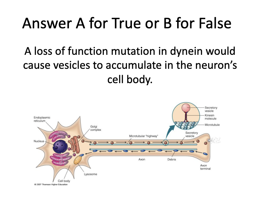 <p>Question</p>