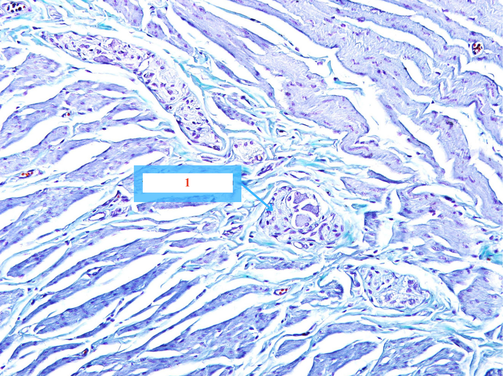 <p>Cấu trúc gì ?</p>