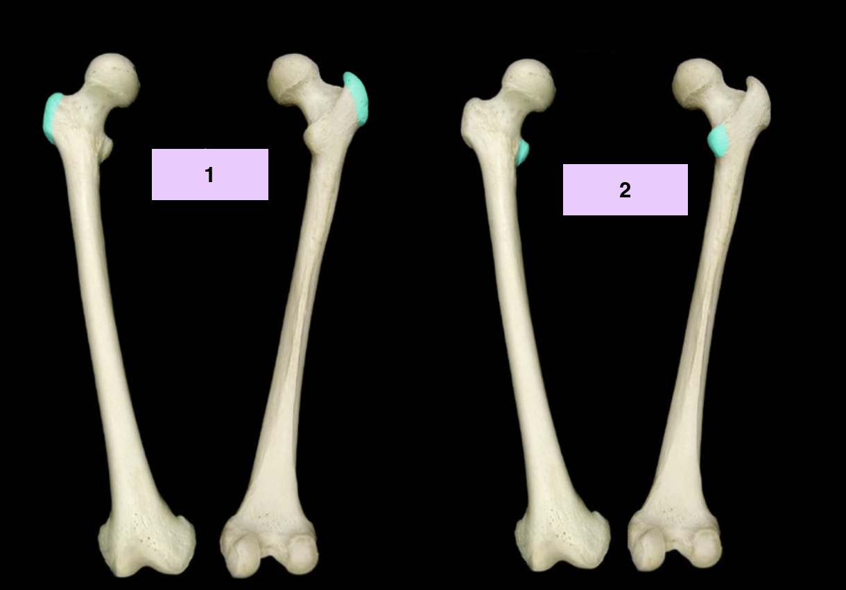 <p>What is 1?</p>
