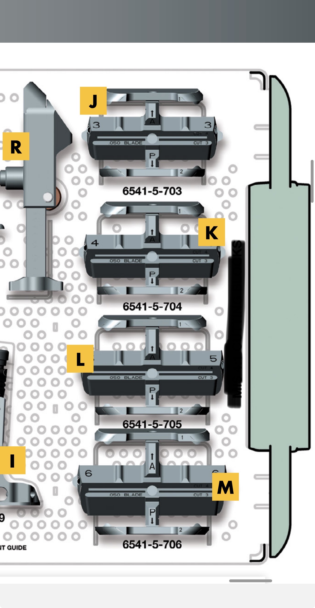 term image