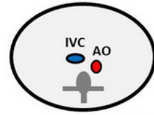 <p>what situs is this </p>