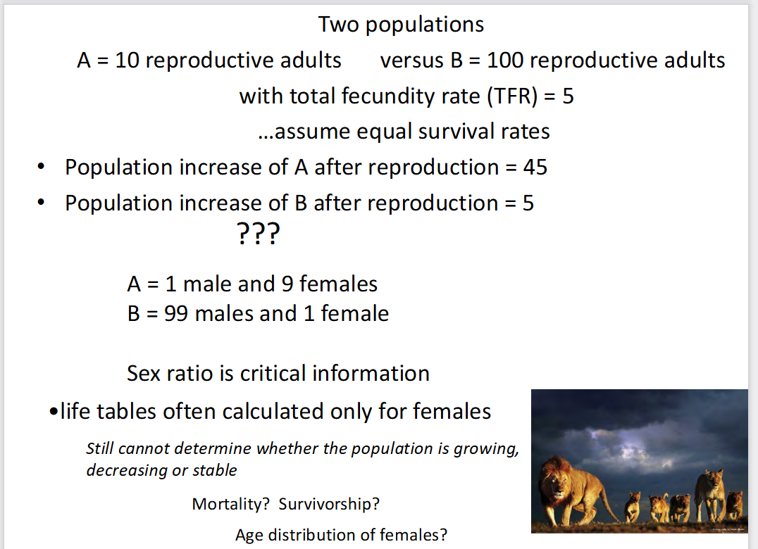 <p><span>This slide demonstrates that </span><strong>the number of females in a population (sex ratio) is a critical factor driving population growth</strong>, rather than just the total number of adults.</p><p></p><p>Even though Population B has <strong>10 times more total adults</strong> than Population A, it produces drastically fewer offspring because it is severely limited by having only one female. In most wildlife species, a single male can mate with multiple females, making <strong>females the true engine of population growth</strong>.</p><p></p><p></p>
