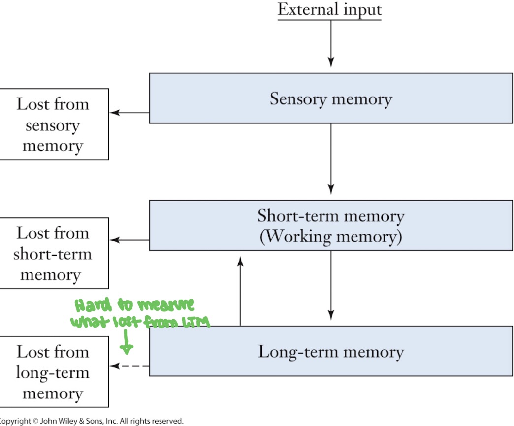 <ul><li><p>sensory memory </p></li><li><p>short-term memory (working)</p></li><li><p>long term memory </p></li><li><p>control processes</p></li></ul><p></p>