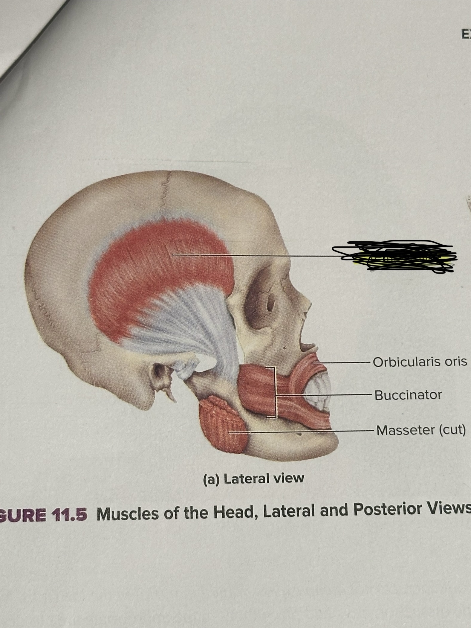 <p>Location crossed out</p>
