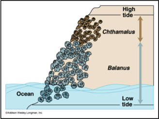 <p><span>Ecological rule that states that no two species can occupy the same exact niche in the same habitat at the same time</span></p>