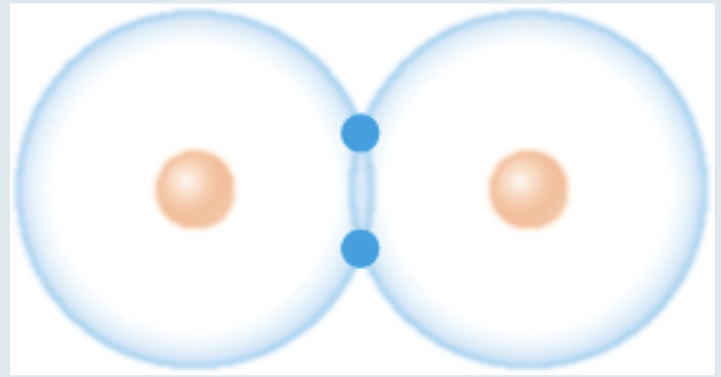 <p>The electrons are equidistant from the the two hydrogen nuclei because there is no difference in the strength of their attraction to the electrons</p>