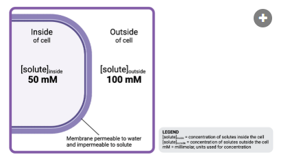 <p>The solution outside the cell is ______________ to the solution inside the cell.</p><p><br>a. hyperosmotic<br>b. isosmotic<br>c. hypoosmotic</p>