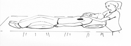 <p>what part of lungs is shaded in the image?</p>