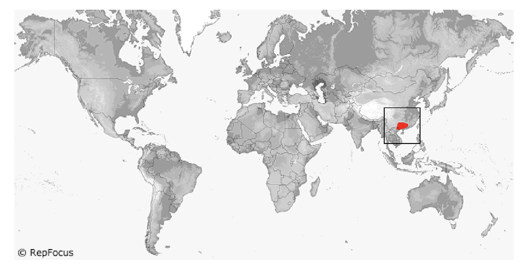 <p><span style="background-color: transparent;">Shinisauroidea</span></p>