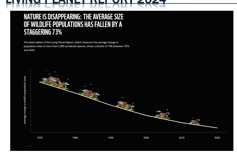 <ul><li><p>average size of wildlife populations have fallen by 75%</p></li></ul><p></p>