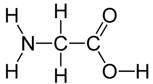 <p>What is this amino acid and its codon?</p>