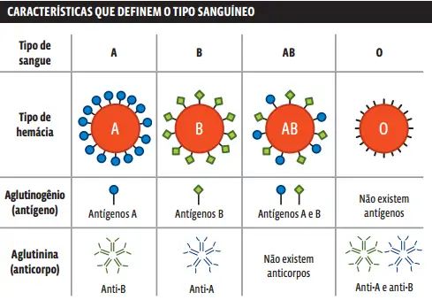 <p>Qual aglutinogenio e qual aglutinina tem em cada tipo sanguíneo?</p>