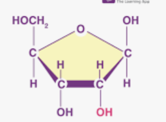 <p>What is this? </p>