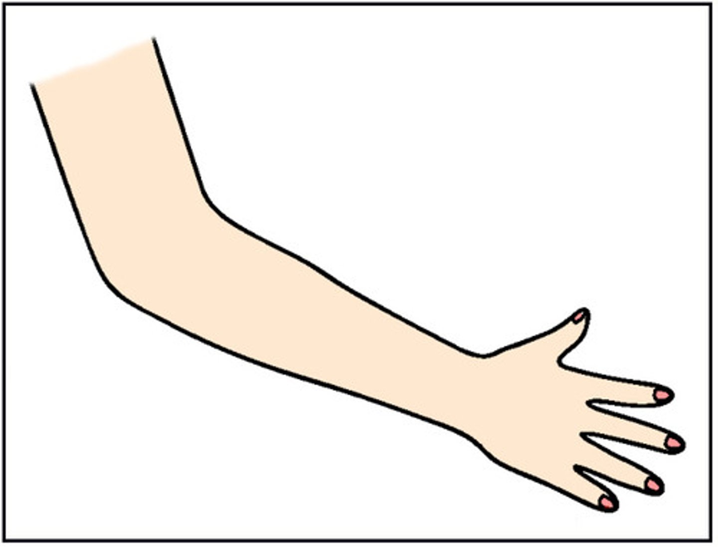 <p>ръка</p>