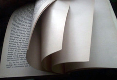 <p>1) die Seite des Buches oder der Kleidung </p><p>2) der Aspekt</p>