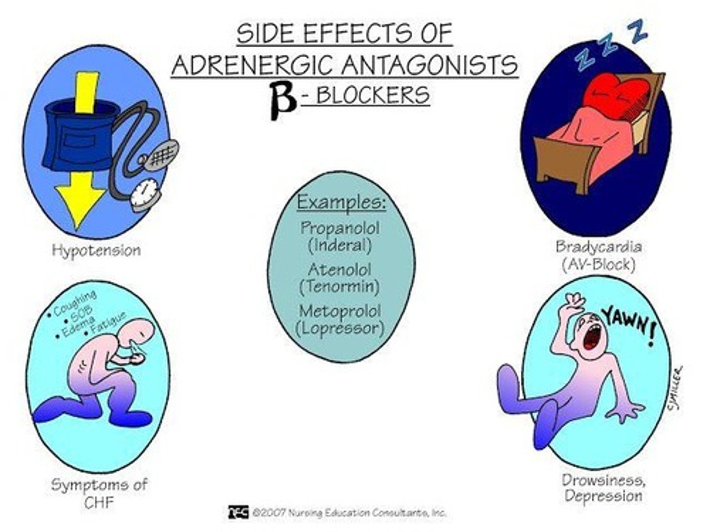<p>Analgesia, euphoria, respiratory depression, physical dependence, and hypothermic actions.</p>