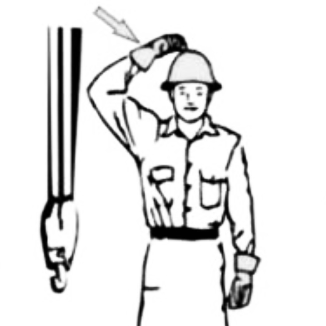 <p>What is the meaning of this hand signal? </p>