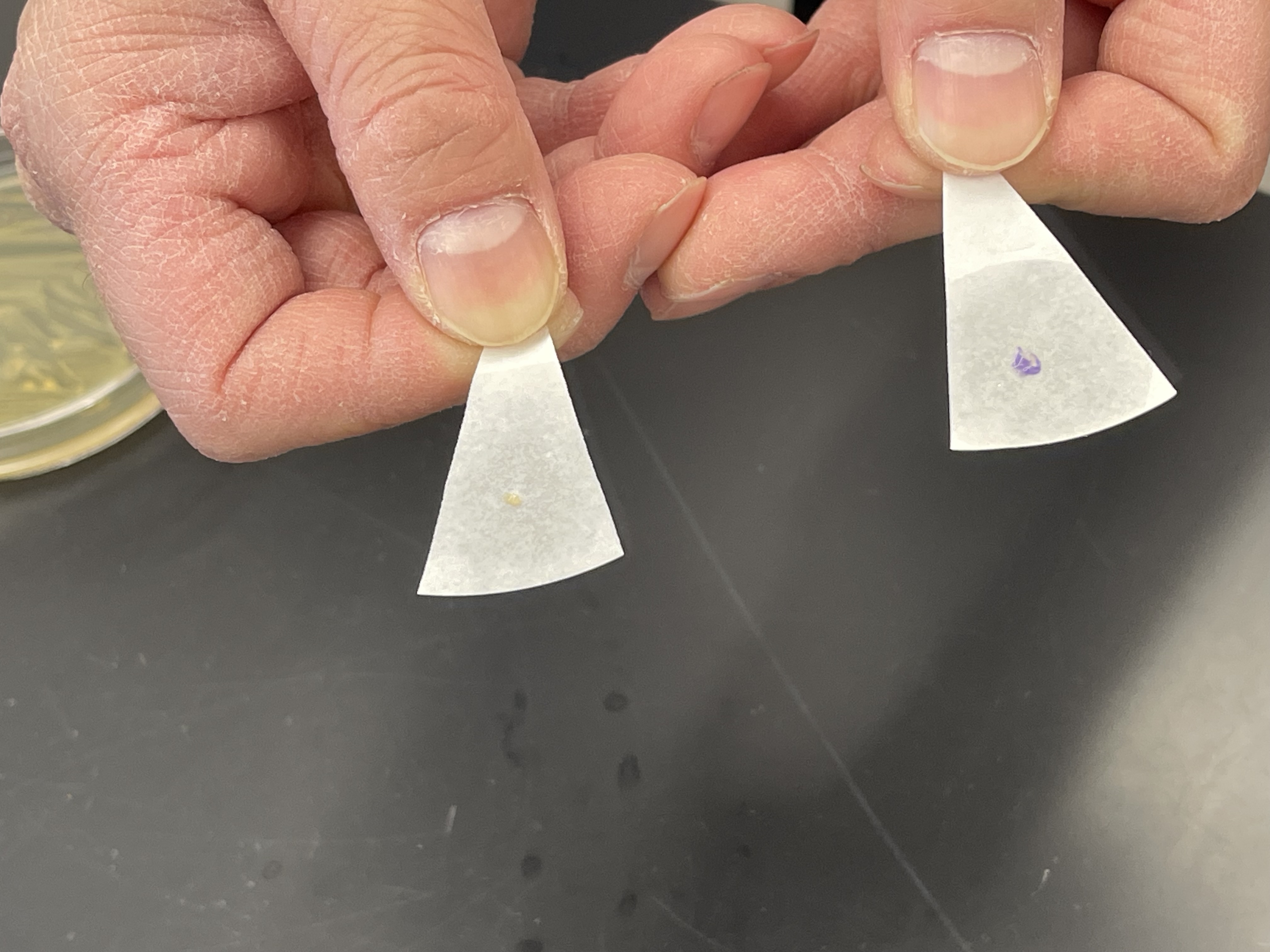 <p>What is the the test name, purpose, media, theory, and everything else about it?</p>