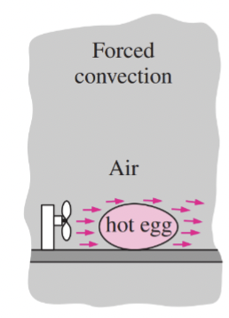 <p>fluid/gas is forced to flow past a solid surface by mechanical means</p><p>Ex: exercising outside, cool breeze (wind and sweat interact)</p>