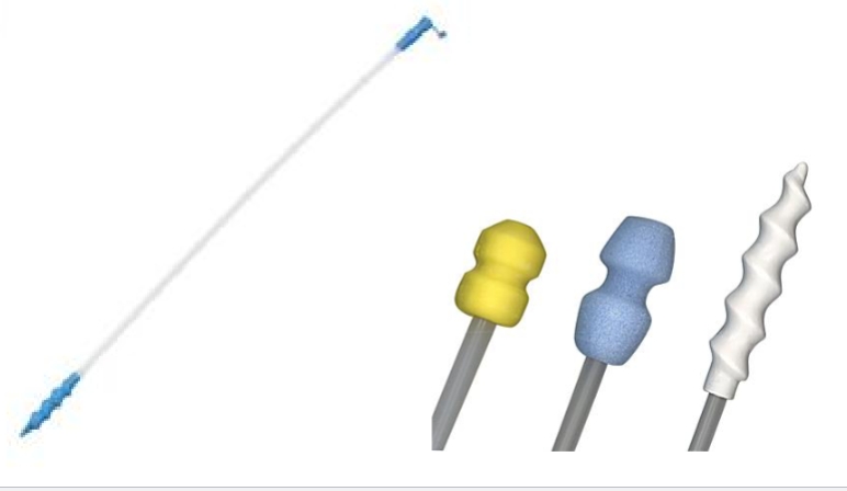 <ul><li><p>how we AI pigs </p></li><li><p>AI rod “locks into” or plugs the cervix to prevent semen from coming back out of</p><p>the vagina</p></li></ul><p></p>