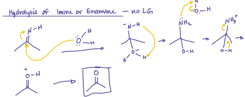 <p>Hydrolysis of an Imine or Enamine</p><p>ketone + NH3</p>
