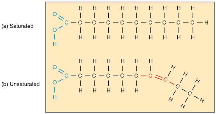 <p>Unsaturated </p>