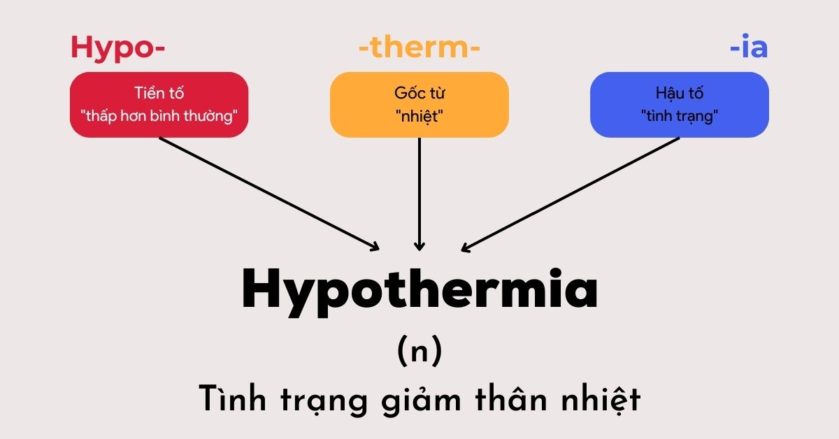 <p>Hạ thân nhiệt </p>