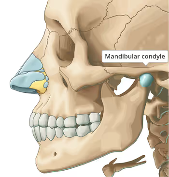 <p>Picture</p>