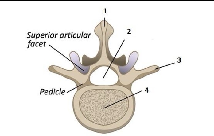 <p>2</p>
