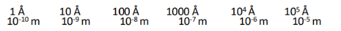 <p>Approximate size of viruses</p>