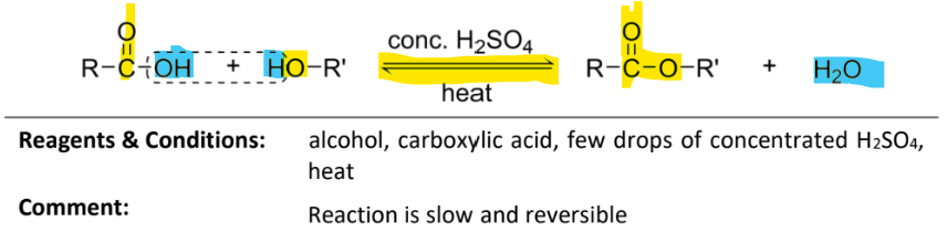 <p>RnCs: carboxylic acid, few drops of concentrated H2So4, heat</p><p>Note: reaction is slow and reversible</p>