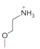 <p>Name this glycerophospholipid</p>