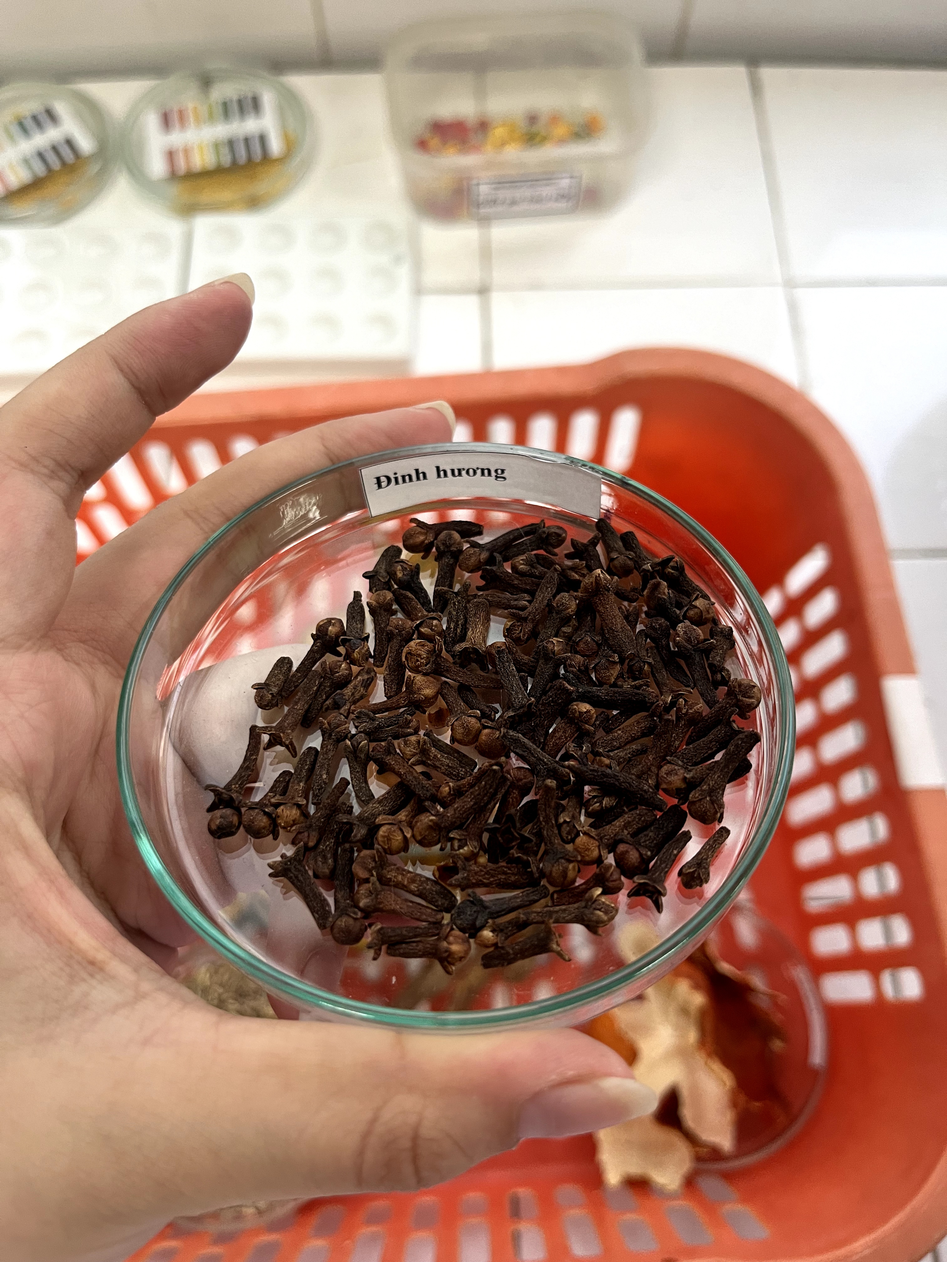 <p>đinh hương</p>