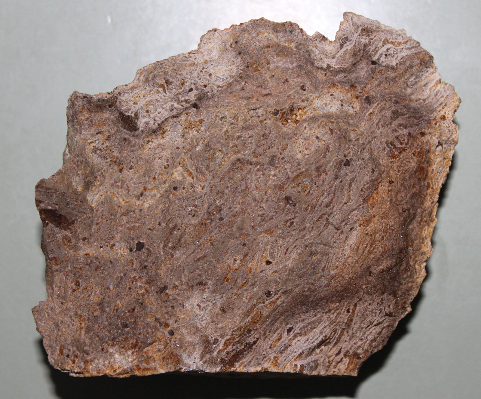 term image