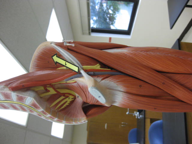 <p>What is at #1?</p>