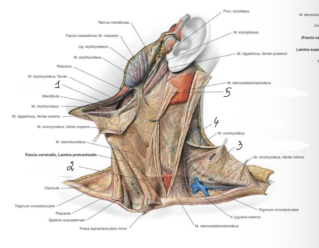 <p>4</p>