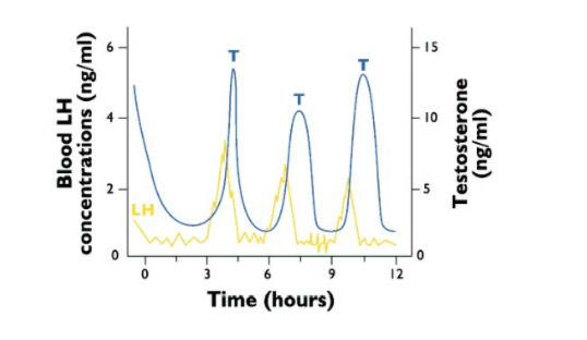<p>Describe this graph</p><p></p>