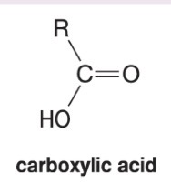 <p>Forms carboxylic acid</p>
