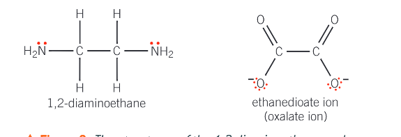 <p>one that can donate 2 lone pairs of electrons to the central metal ion, forming 2 coordinate bonds</p>