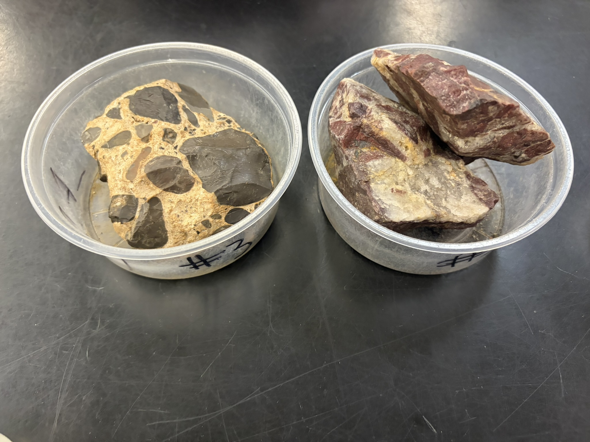 <p>Detrital<br>Clastic<br>Base of cliff <br>High energy</p>