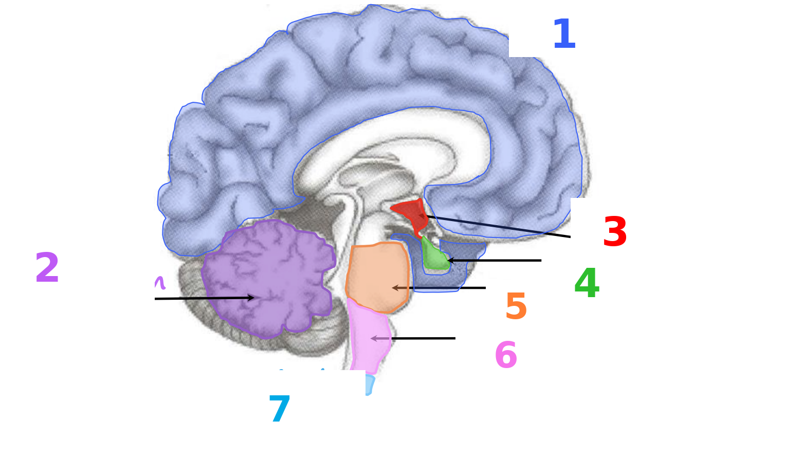 <p>1</p>
